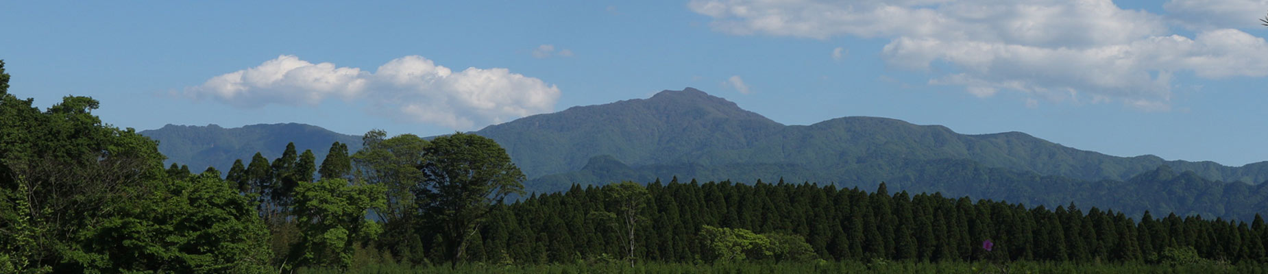 藤義運輸イメージ