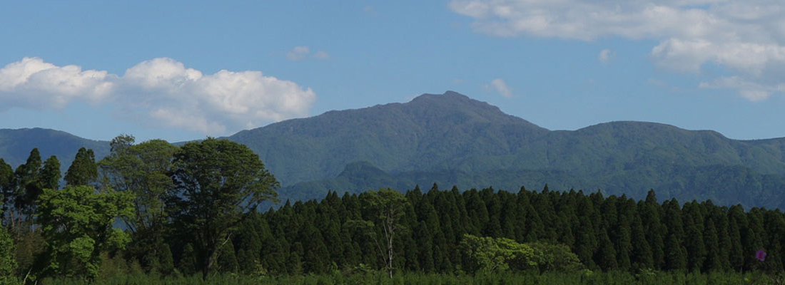 藤義運輸イメージ